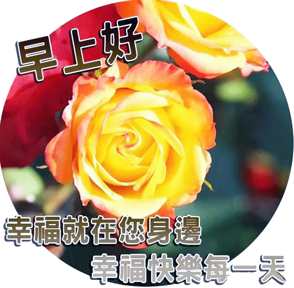 2021年5月早上好温馨祝福语录,感受生活美好,幸福紧紧