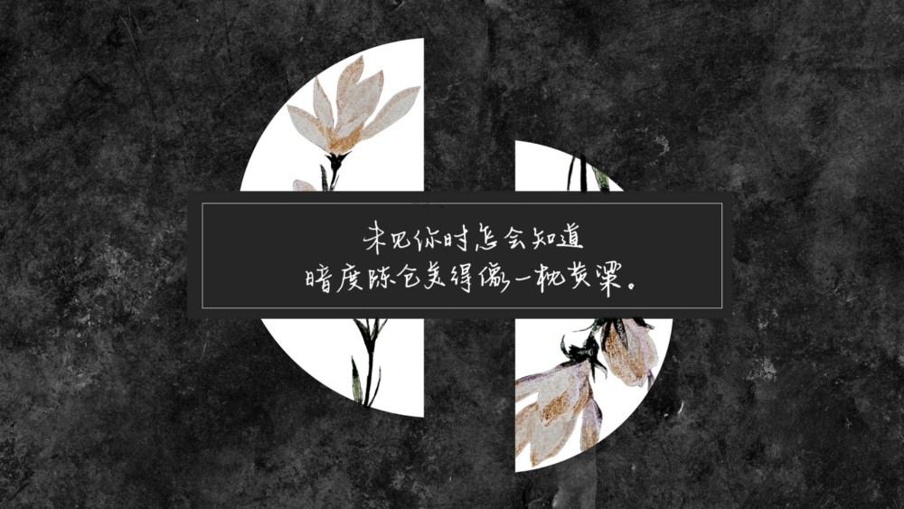 《碎玉投珠》|一生长短未知,可看此后经年.