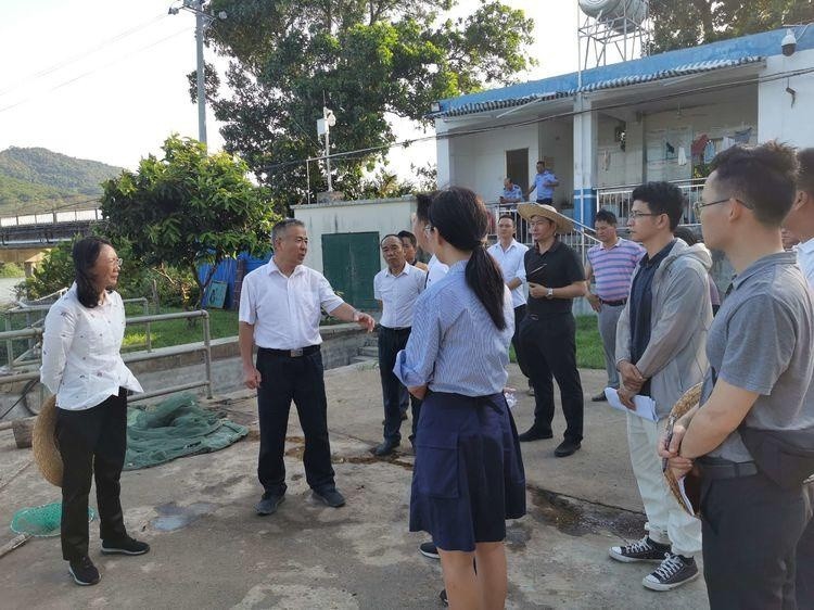 保亭县县委书记王昱正,县委副书记,县政府县长符兰平调研断面水环境