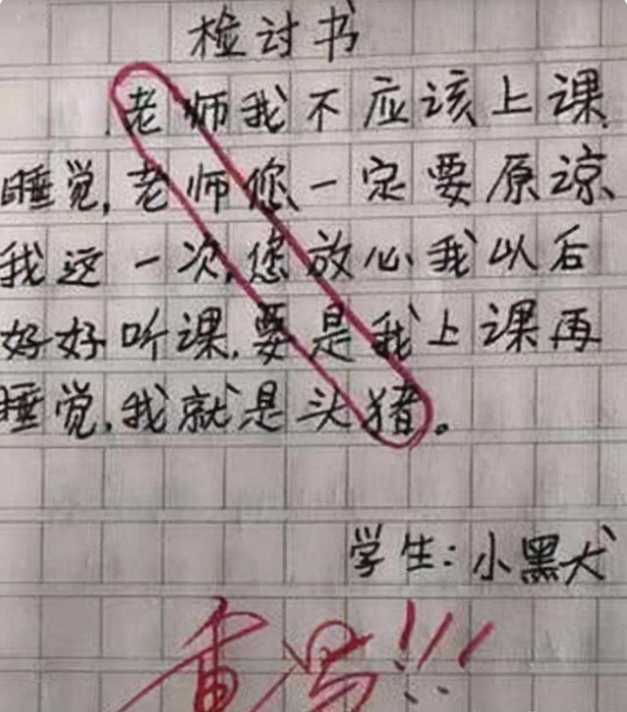 小学生"检讨书"走红,表面在反省,"藏头诗"还是被老师