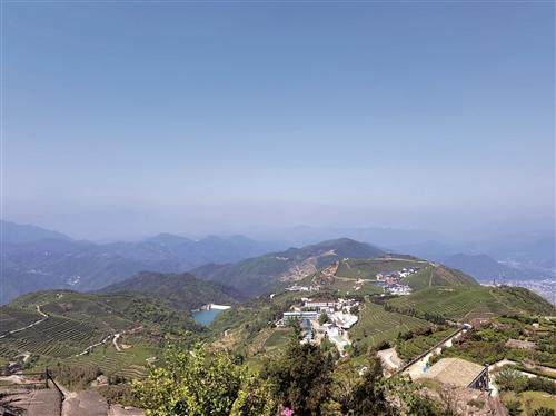 羊岩山风起云涌茶香悠悠