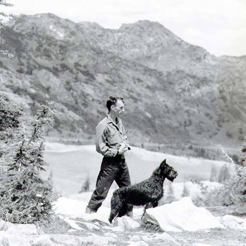 寻根问祖系列(35)巨型雪纳瑞(giant schnauzer)