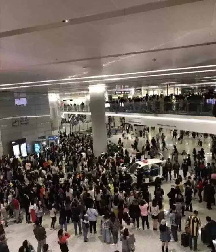 虹桥机场招聘_上海 浦东 虹桥 机场安检旅检招聘简章