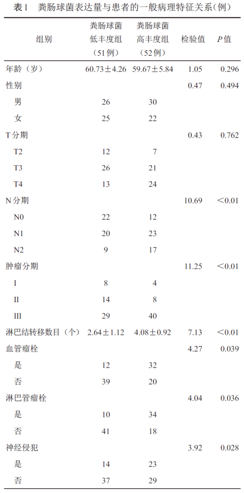 球菌简谱_金黄色葡萄球菌(2)