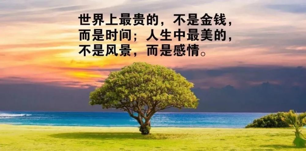 一发就秒赞的经典语录,高情商有内涵的经典语句