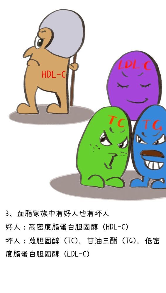 一图讲清高血脂的这9大常见误区