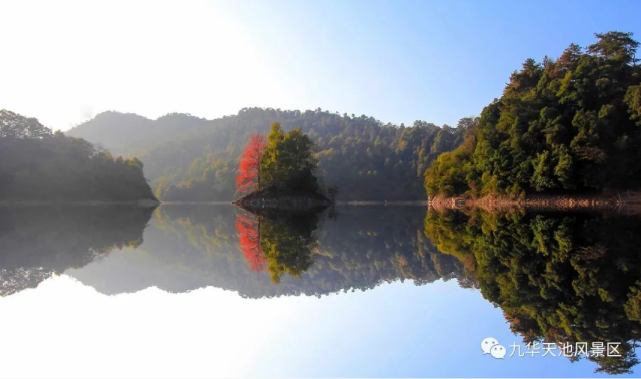 春游江淮请你来|森林康养基地推介:九华天池景区