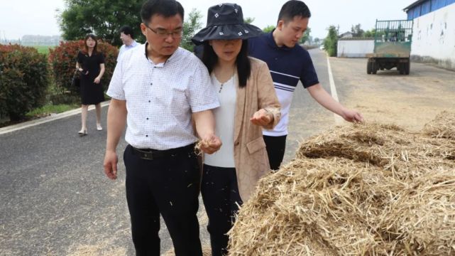 陕西省榆林市横山区来西湖考察调研|张海娥|横山区|西湖|牛奶|西湖