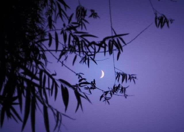 知有儿童挑促织,夜深篱落一灯明.