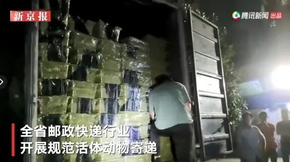 梦见自己参与抬死人棺材，探索梦境背后的深层含义