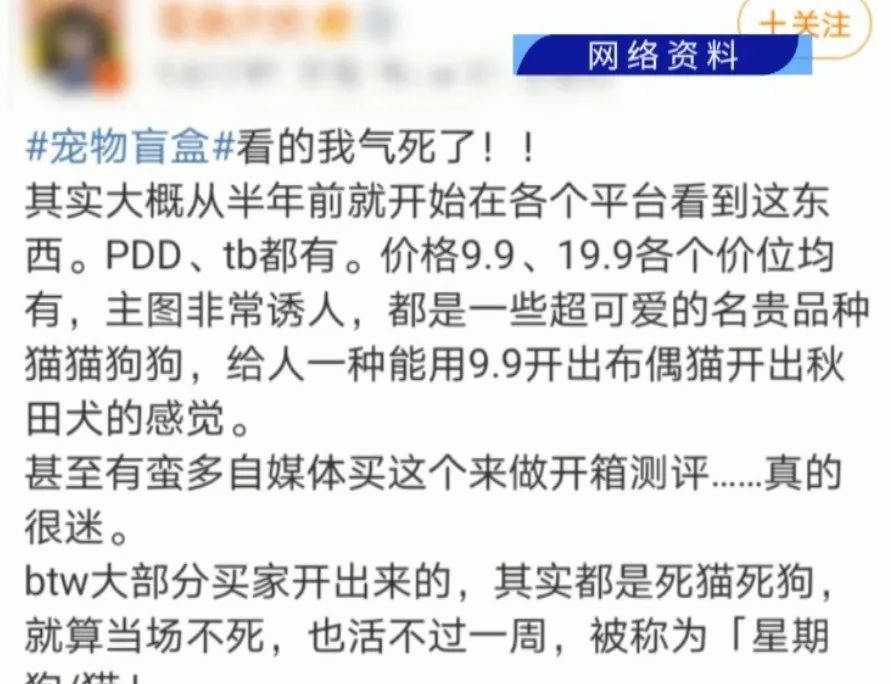 最近总梦见死人，这是怎么回事？深度解析梦境背后的心理与生理机制