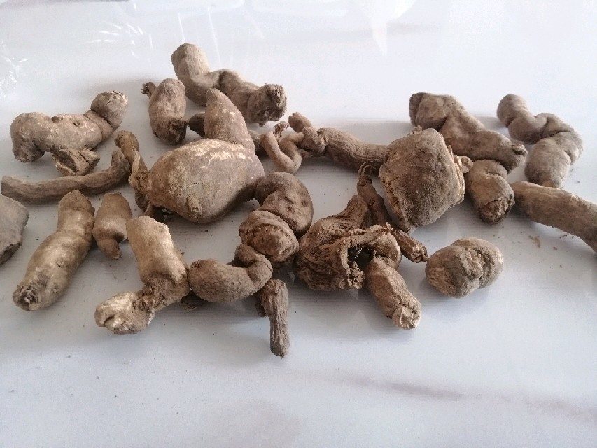 中药材:防己
