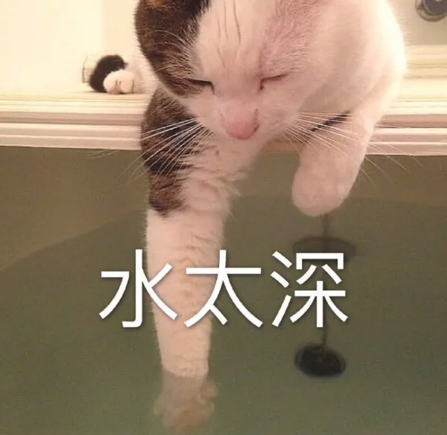奥特曼表情包:扑进怀里的表情包动图动漫0828期