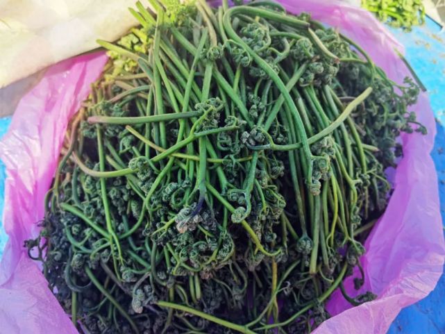 刺老芽,婆婆丁,柳蒿芽,荠荠菜,刺五加叶等各种在售的山野菜有近10种