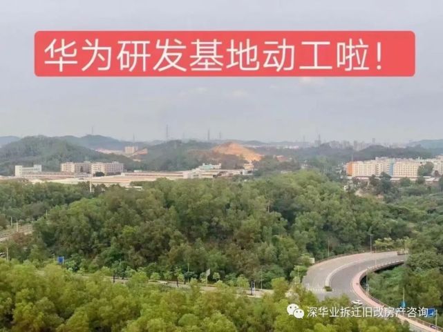 平湖华为基地旁,山厦远洋旧改,进度最快!