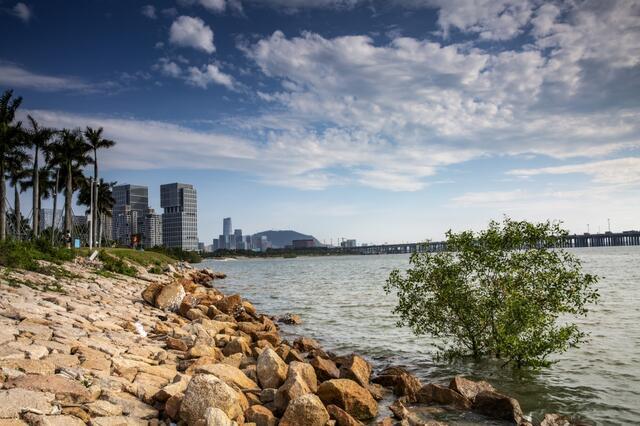 深圳前海湾掠影:景色宜人空气清新,休闲度假的理想之地