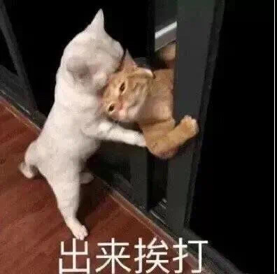 表情包,你背着我和别人排位