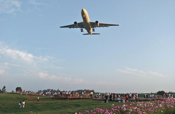 (图源:instagram) 成都空港花田和空港运动公园位于双流机场附近.