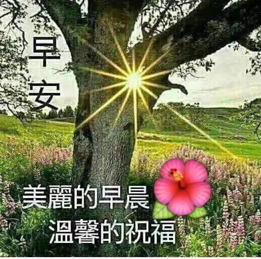 早上好!