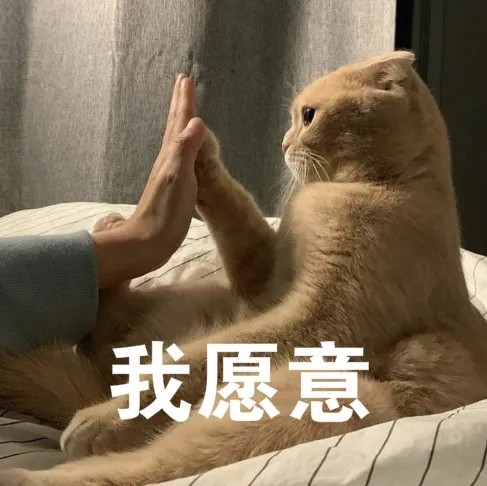 和男朋友打情骂俏的沙雕猫咪表情包