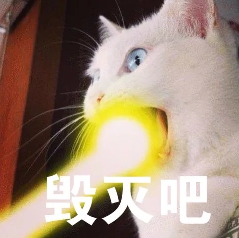 和男朋友打情骂俏的沙雕猫咪表情包