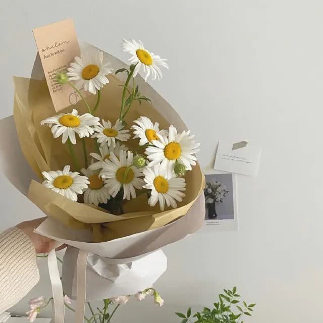 [小雏菊]:  daisy)-深藏在心底的爱
