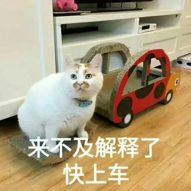 表情包来不及解释了快上车