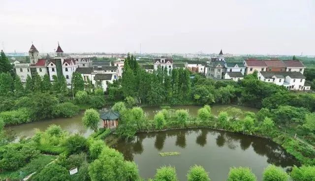 海宁1个镇,16个村(社区)列为示范!看袁花!