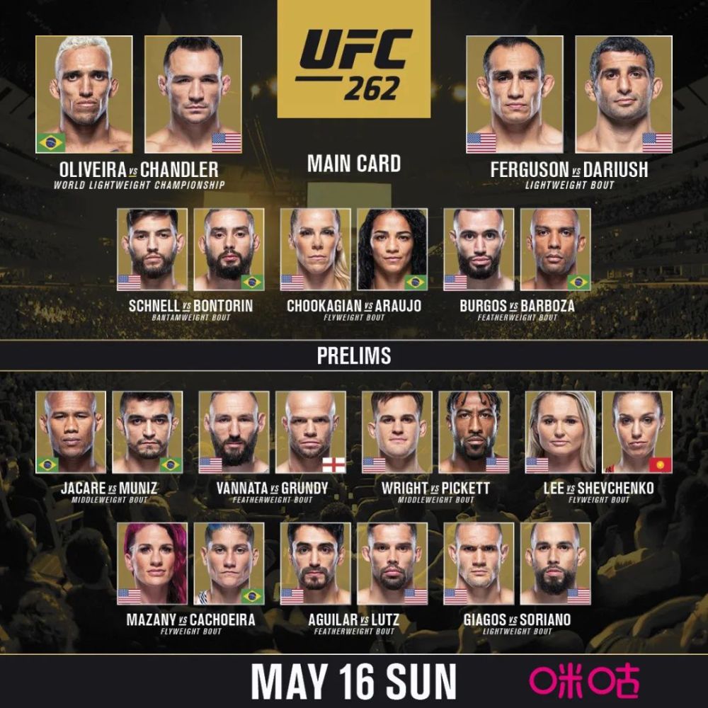 漫长的告别ufc262前瞻