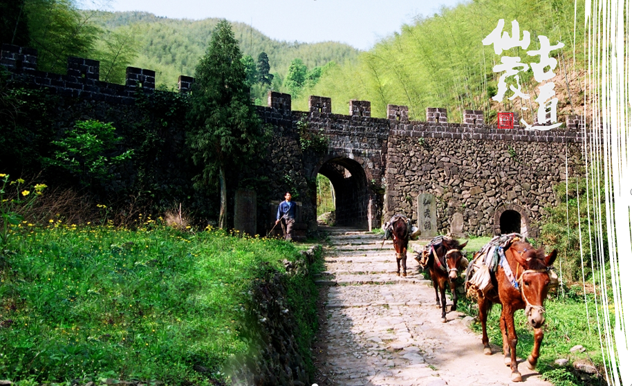 仙霞之旅 腾讯网