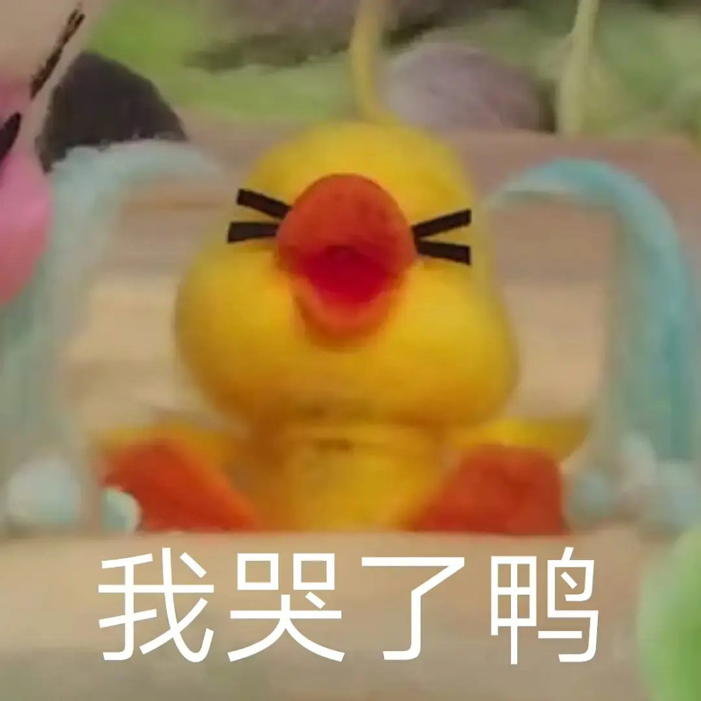 小黄鸭简谱图片_儿歌小黄鸭简谱