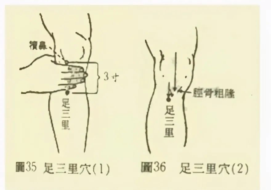 最新100个《穴位功效大全》,超级实用的中医知识