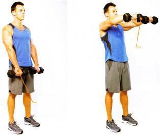 不妨将该训练动作加入到日常的肩部训练当中,能给你的三角肌前束带来