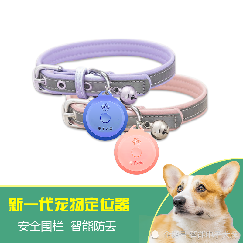 智能电子犬牌,犬只管理系统来帮你