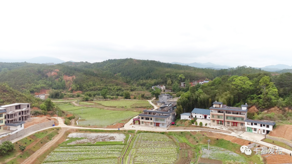 江西于都有多少人口_赣州各县 市 区 官方人均GDP出炉 第一名的竟是(3)