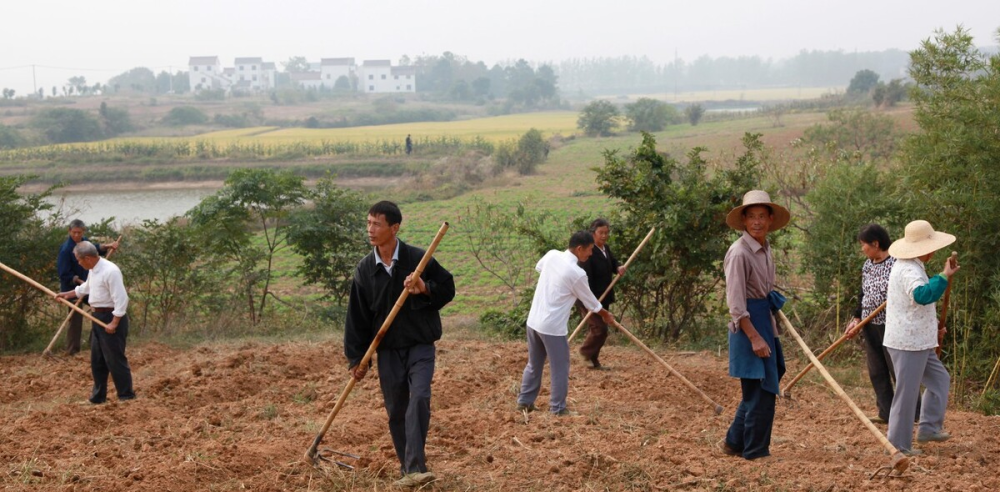 如何提高农民种地积极性日韩经验不现实网民5点建议才接地气