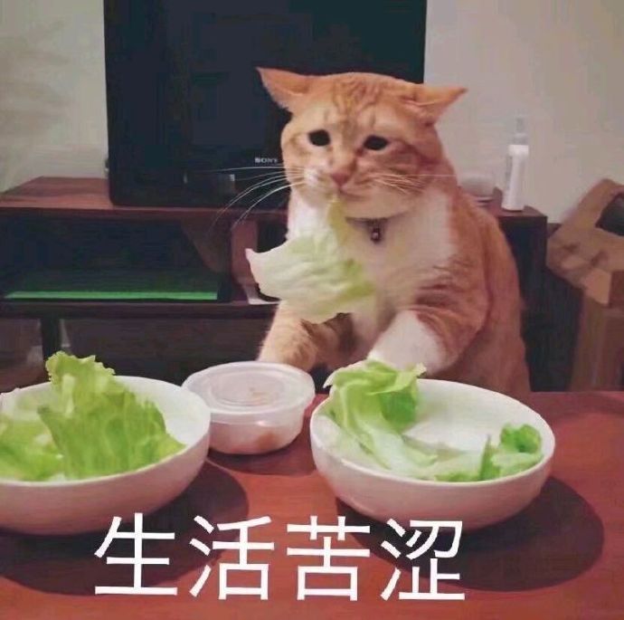 空间朋友圈沙雕文案配图二