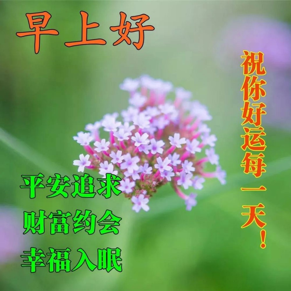 朋友圈温馨早上好祝福心语,带字祝福图片,愿你的生活灿烂芬芳!