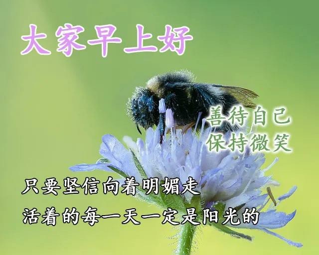 温馨的早上好祝福词句,带字祝福图片,新的一天,新的希望,早安