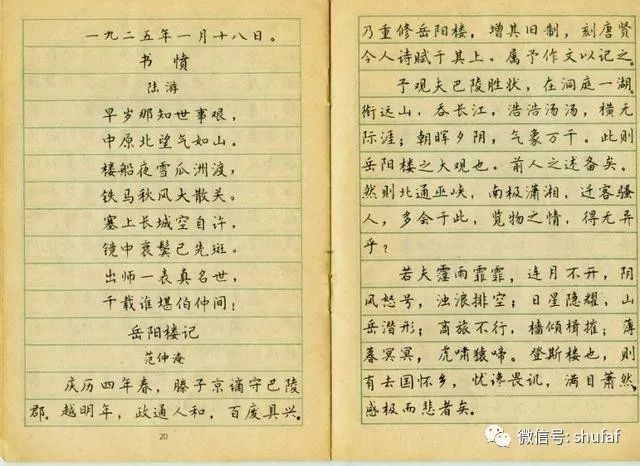 林似春硬笔书法作品欣赏,漂亮钢笔字!