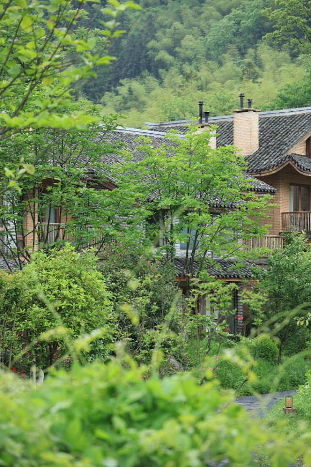 湖南张家界:乡村民宿生态优美