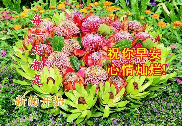 2021最旺财的微信图片,2021招财转运风水图片 2021年夏日暖心的早上好祝福语图片带字,微信早上好漂亮的问候图片
