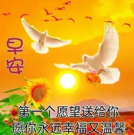 11月18日群发清晨早上好问候祝福动态表情图片早安问候语及暖心的话