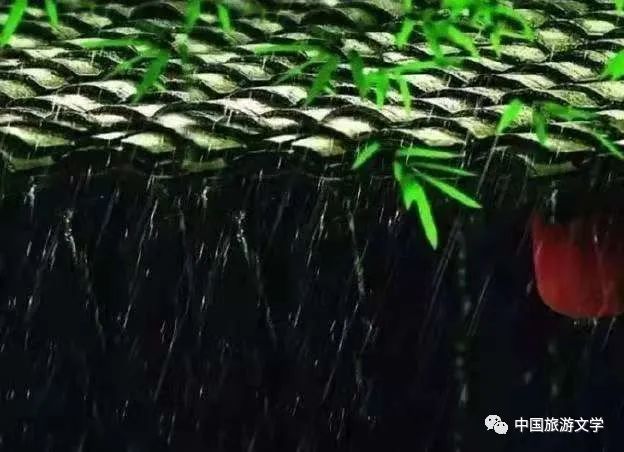 行走丨倚窗,听雨