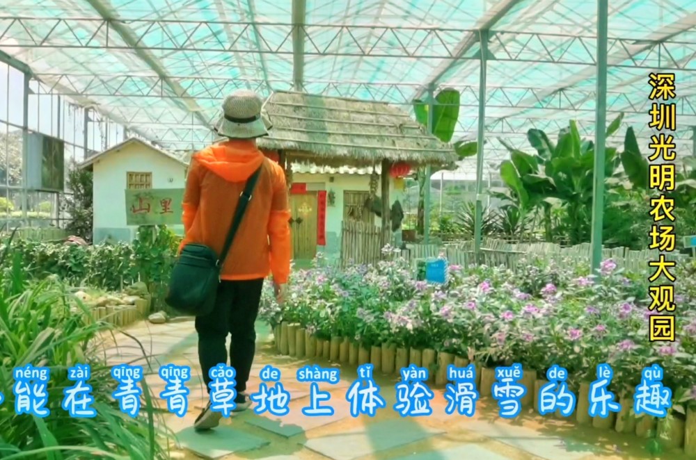 深圳光明农场大观园,农业农村种植观赏