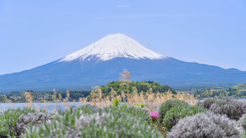 风景电脑壁纸 富士山的初夏