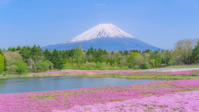 风景电脑壁纸富士山的初夏