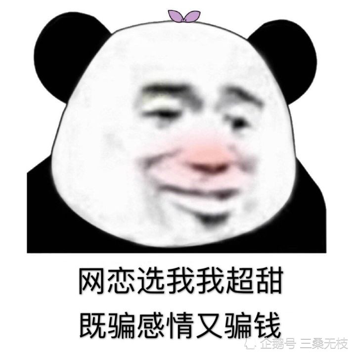 熊猫头表情包:网恋选我我超甜即骗感情又骗钱