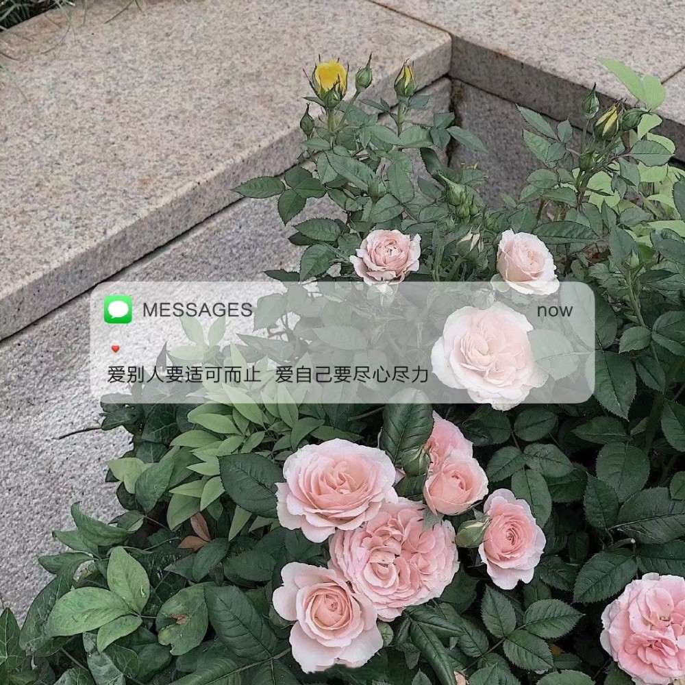 三观超正的朋友圈背景图文案