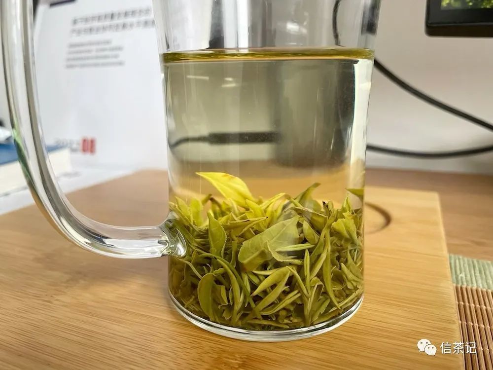 回想前两年喝过的朱堂茶,包括老寨山的茶,似乎都有「不张扬,水生香」